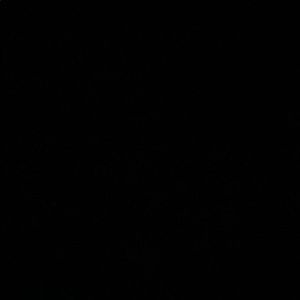 Meet your Posher, Noah